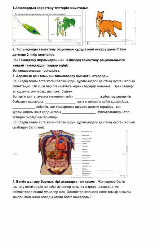 1.Aғзалардың қоректену типтерін анықтаңыз.  2. Толыққанды тамақтану рационын құруда нені ескеру