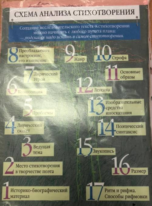 Анализ по плану Звезда полей,умоляю не из интернета,план в фотке, 