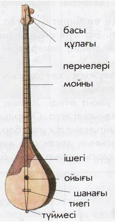Домбыраны сипаттайтын, кластер(кесте немесе сызба) құрастырыңыз 