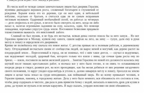 Какую роль играет этот эпизод в рассказе?Муму это СОР 