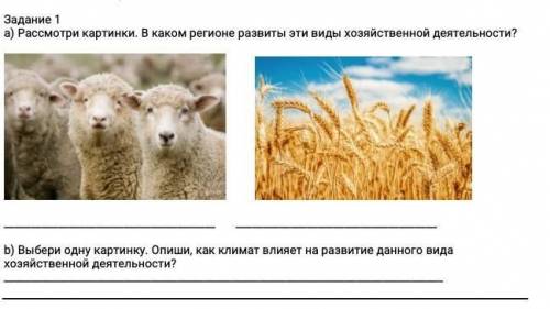 А) рассмотри картинки. В каком регионе развиты эти виды хозяйственной деятельности