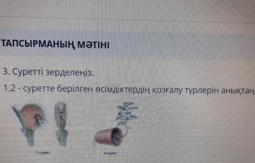 3. Суретті зерделеңіз.1,2 - суретте берілген өсімдіктердің қозғалу түрлерін анықтаңыз.