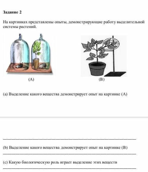 Задание 2 На картинках представлены опыты, демонстрирующие работу выделительной системы растений 