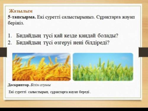 тут надо сравнить картинки и ответить на вопросысразу 