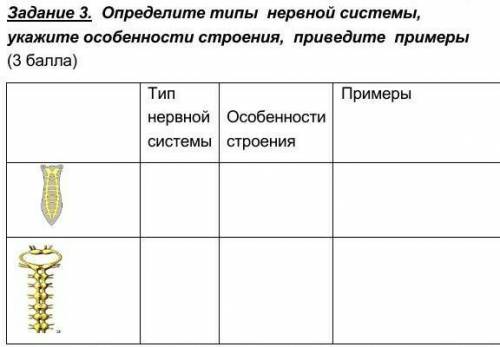 Определите типы нервной системы, укажите особенности строения, приведите примеры 