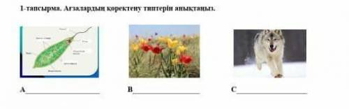 помагите мне нужно сделать это 