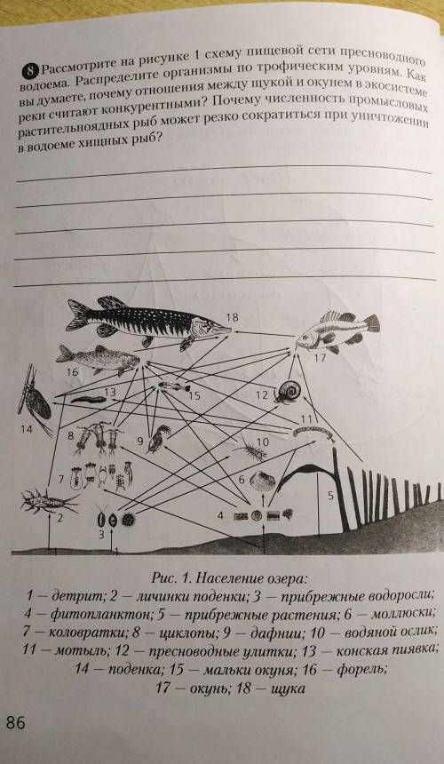 , умоляюБиология, цепи питания