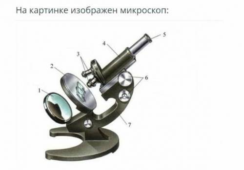 ТЕКСТ ЗАДАНИЯ На картинке изображен микроскоп:Какими номерами обозначены окуляр и объектив?Чему буд