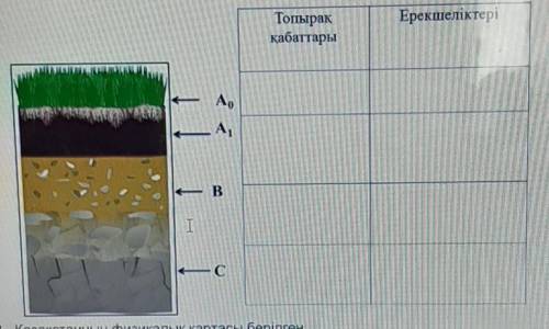 Посмотрите на картинку, определите слои почвы и запишите особенности