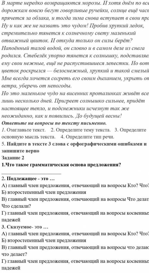 СОР по русскому языку. Если не видно,пишите заранее :)