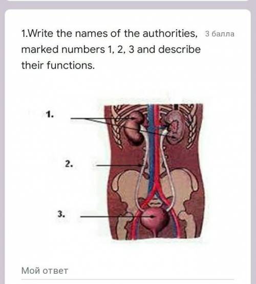 1.Write the names of the authorities, marked numbers 1, 2, 3 and describe their functions.
