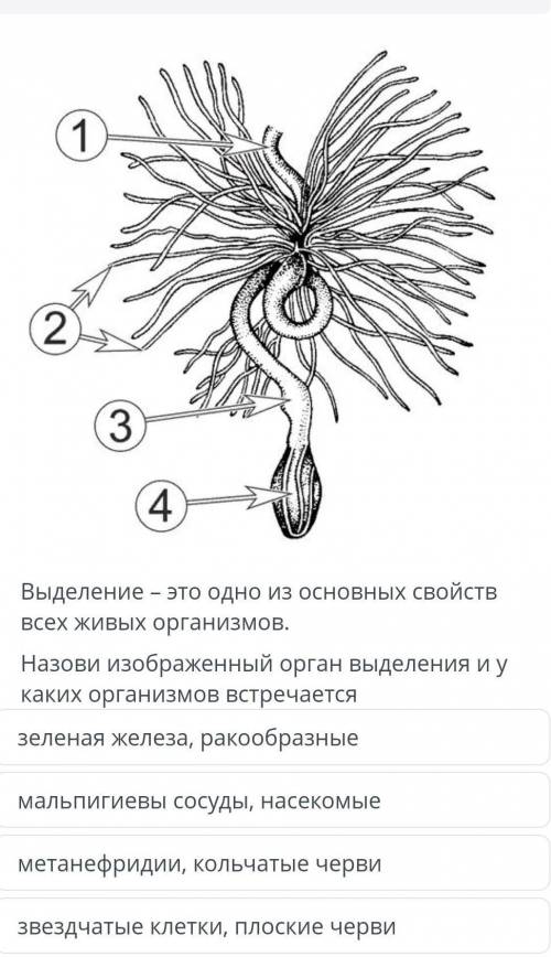 Кто ответит? таоаоатататаьаоьаьвьв 