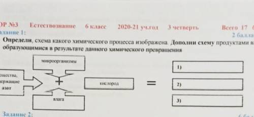 Это сор по естествознанию главный мозг заметь 