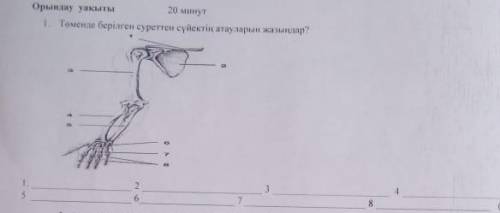 Нужно 8класс Сор Биология