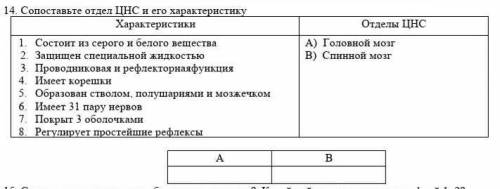 Составьте отдела ЦНС и его характеристику 
