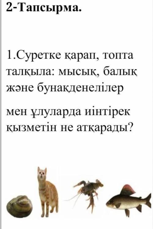 НУЖНО я немного не понимаю казахский но очень нужен ответ