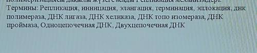 дать определения на 3 языках: английский, казахский, русский