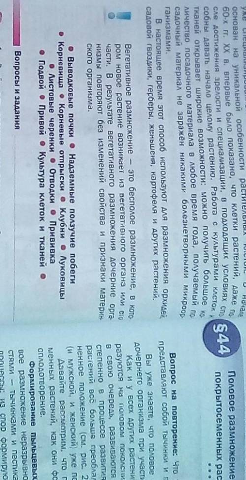 Там нужно определения написать ответьте 