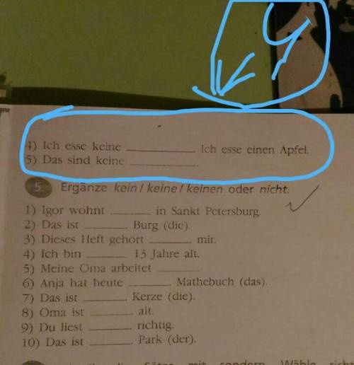 4. Welches Wort passt?Häuser,Stuhl,Autos,Birne,Puppen.