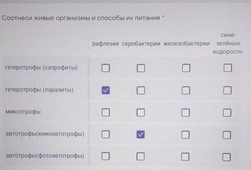 (там ещё тополь справа... просто не влез)