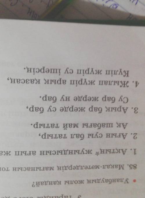Актын жуасындысын агып жаткан суга токпе