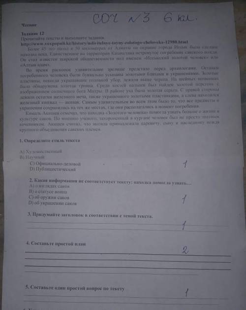 Русский язык СОЧ 6класс 