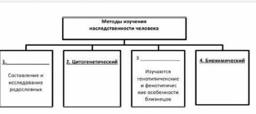 Дополните схему, вписав в нее название метода или его характеристику.