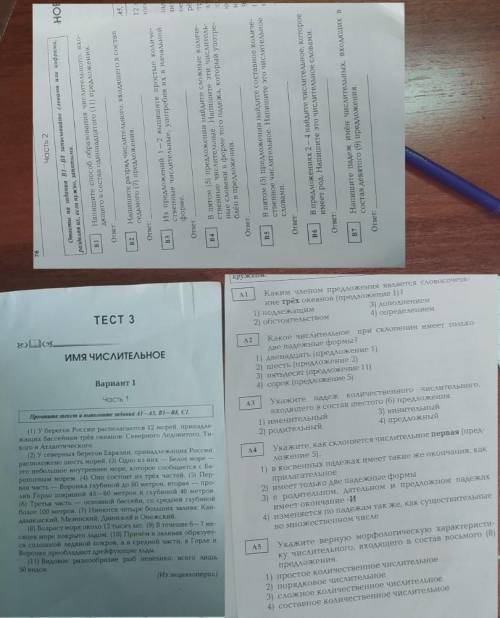 кто решит за меня русский 