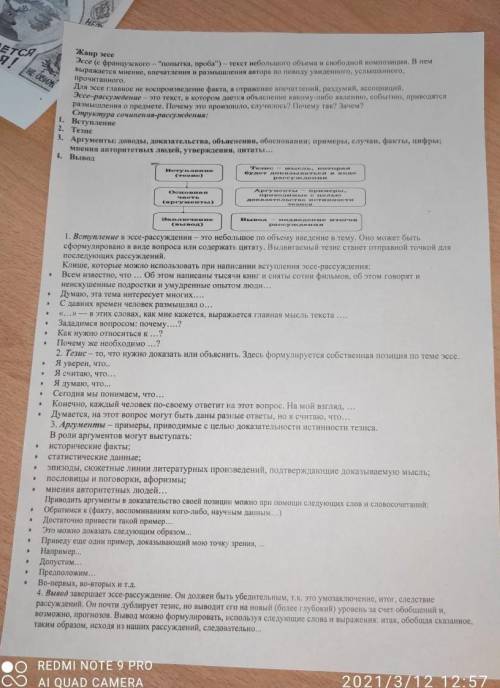 Помагите пожауста СОЧ по литературы русски язык 