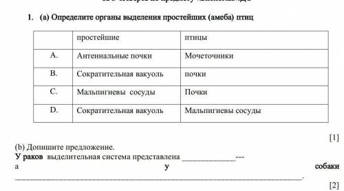(а) Определите органы выделения простейших (амеба) птиц простейшиептицыA. Антеннальные почки Мочет