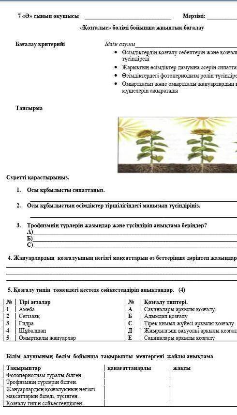 У каго есть БжБ? 7 класс Биология