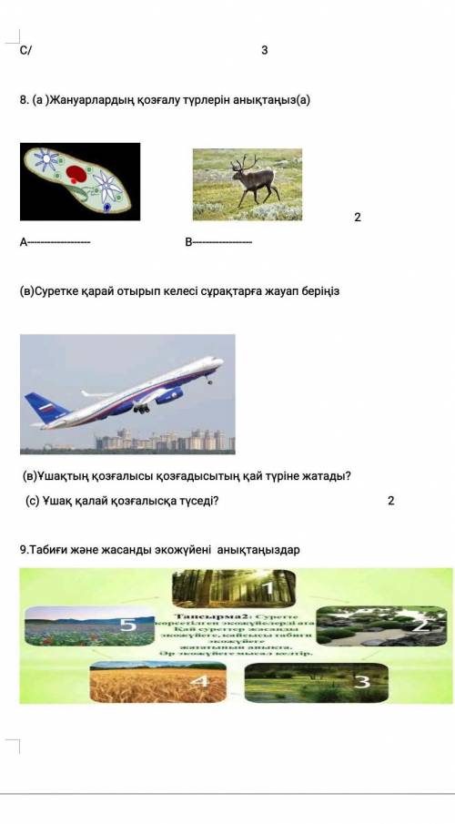 Сделаейте все эти тапсырма у меня ТЖБ