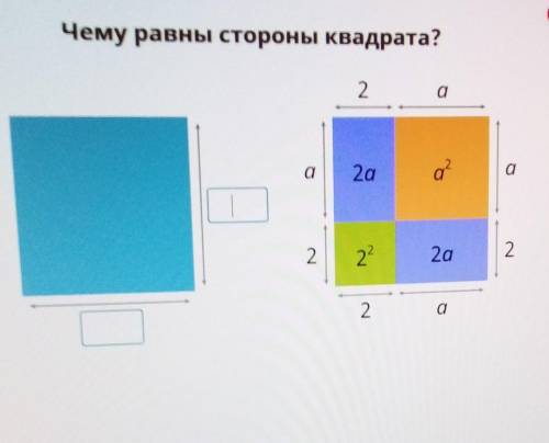 Чему равны стороны квадрата?