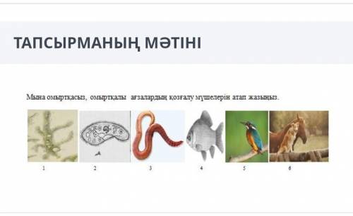 БИОЛОГИЯ ТЖБ (ОНЛАЙН МЕКТЕП) 