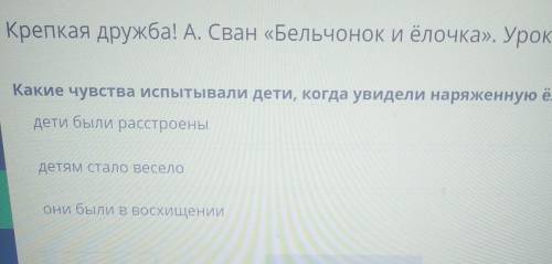Какие чувства испытывали дети, когда увидили наряженную ёлочку​