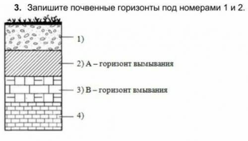3. Запишите почвенные горизонты под номерами 1 и 2. это география