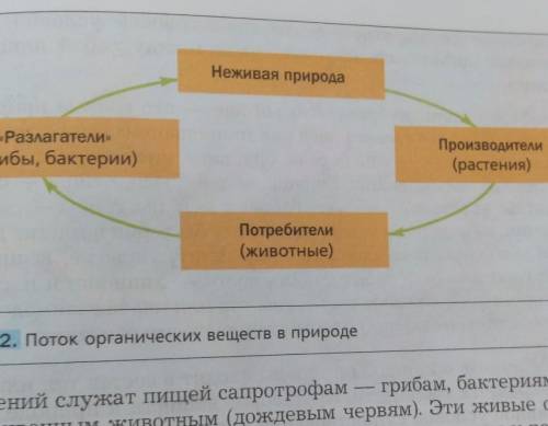 подберите примеры к каждому из звеньев