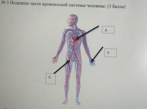 буду блокировать ответы по типуя не знаю аоаооаоадвдцлкхзвмлалу