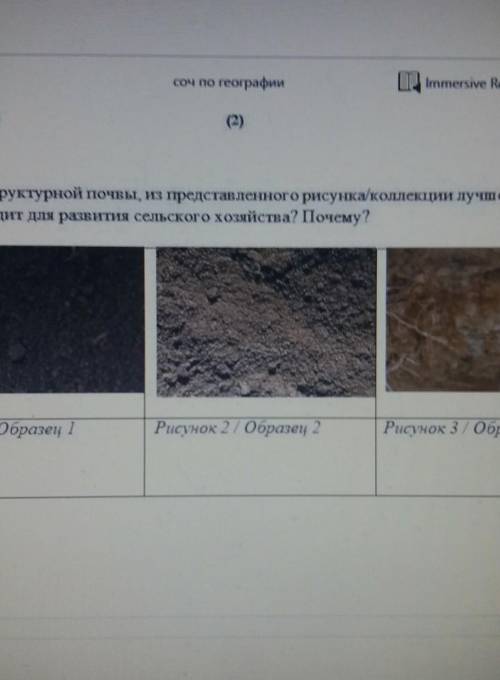 Какой тип структурной почвы, из представленного рисунка/коллекции лучше всего подходит для развити