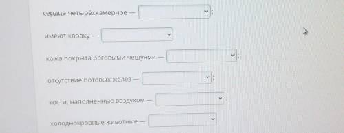 Выбери соответствующее рисунку утверждение. Характеристики:Пресмыкающиеся Птицы Общее свойство ! 