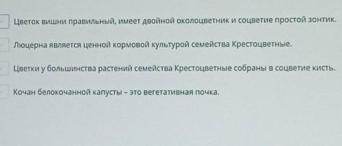 Если правильно то ставим <<+>>, если нет то <<->>