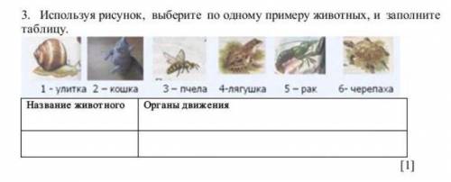 3. Используя рисунок, выберите по одному примеру животных, и заполните таблицу