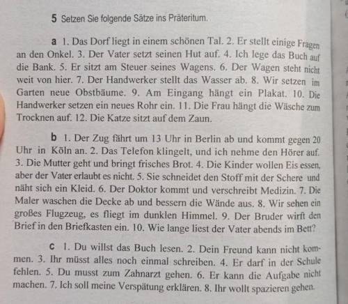 Setzen Sie folgende Sätze ins Präteritum.