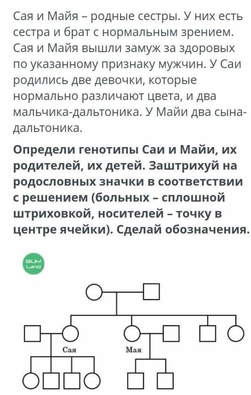 Задание по генотипам, к сожалению у меня всего :(