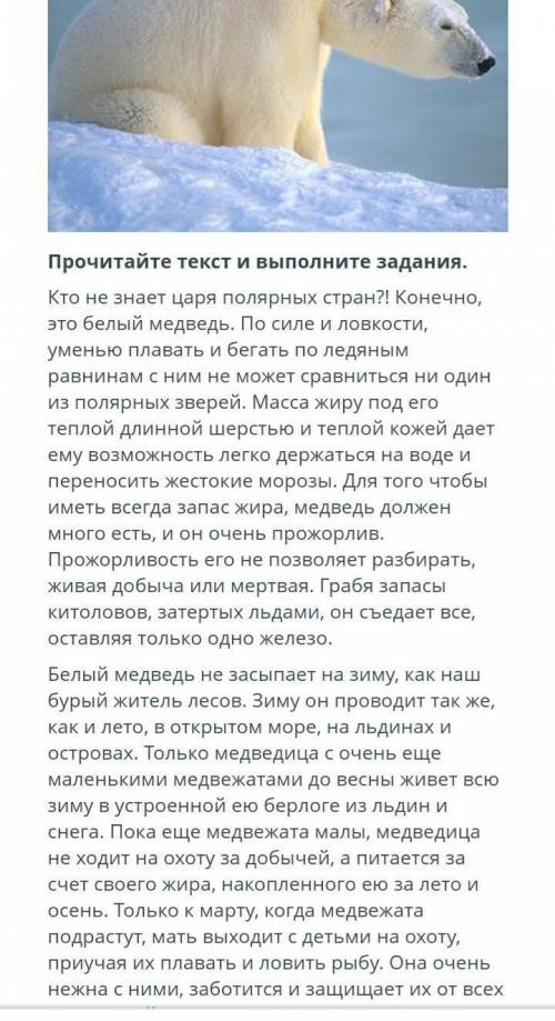 Прочитайте текст и выполните задания Укажите заголовок отражающий основную мысль текста белый медвед