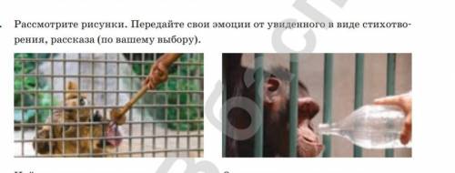 ребят,напишите рассказ, примерно 50-60 слов,буду благодарна