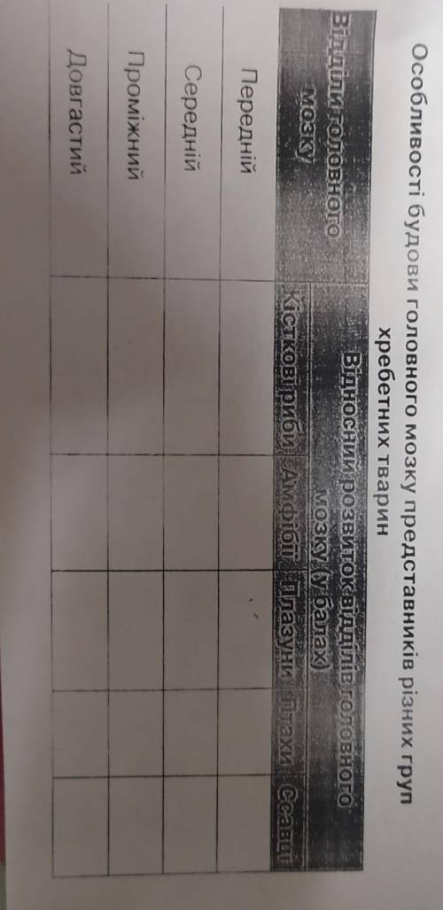 Особливості будови головного мозку