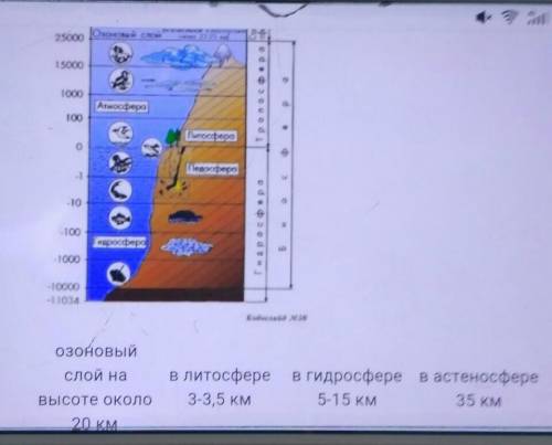 Определите верхнюю и нижнюю границы биосферы. 