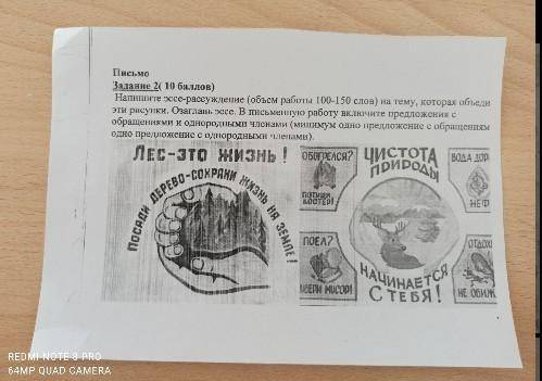 Эссе рассуждения на тему Лес это жизнь или чистота природы