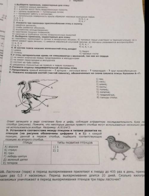 Решите , фото прикреплено 8 класс, биология